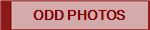 ODD PHOTOS